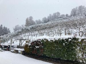 Agrialpi by Salfrutta v zime