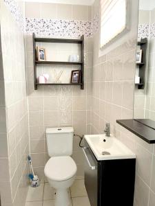 a small bathroom with a toilet and a sink at Villa spacieuse avec piscine privée - Le Vauclin in Le Vauclin