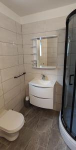 a bathroom with a toilet and a sink and a mirror at Apartman Juresic in Rab