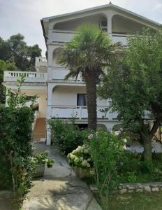 a palm tree in front of a house at Apartman Juresic in Rab