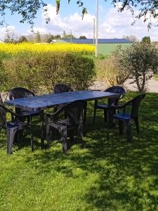Maison de vacances Sol & Piper في Gombergean: طاولة نزهة زرقاء وكراسي في العشب