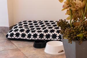 a black and white pillow on the floor next to a plant at Residence Greco in San Bartolomeo al Mare