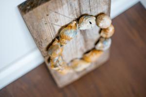 a group of mussels on a wooden wall at Ferienwohnung Nr. 9 in Borkum