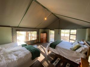 ヴァールウォーターにあるLimpopo Bushveld Retreatのテント内のベッドルーム1室(ベッド2台付)