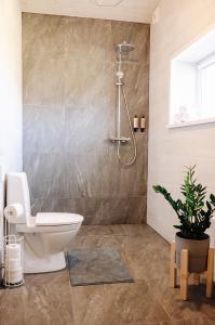 een badkamer met een toilet en een douche bij Holiday Houses LILLE`S with sauna in Alūksne