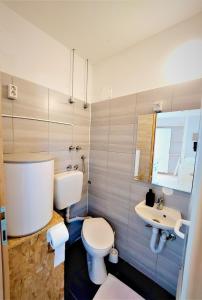 a bathroom with a toilet and a sink at Studio apartment Murter Center in Murter