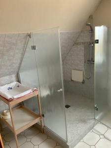 a shower with a glass door in a bathroom at Ferienhaus Annu in Lensahn