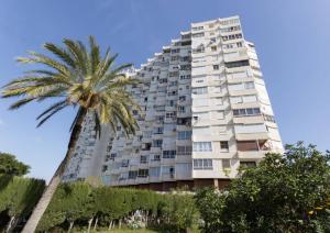 Kép Estudio La Colina szállásáról Torremolinosban a galériában Még 13 kép