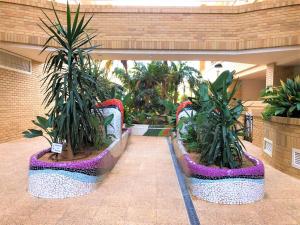 un vestíbulo con plantas en macetas en un edificio en ACV - Aguamarina-2ª Linea Planta 8 Norte-2, en Oropesa del Mar