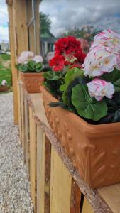 Vonkajšia záhrada v ubytovaní Romantic Jacuzzi Hideaway near Hévíz