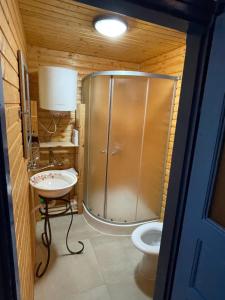 La salle de bains est pourvue d'une douche, d'un lavabo et de toilettes. dans l'établissement Casa Brună, à Băile Olăneşti