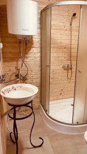 a bathroom with a sink and a shower at Casa Brună in Băile Olăneşti