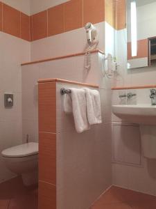 A bathroom at Lipno Wellness - Frymburk C104 privat family room