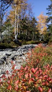 Paesaggio naturale nelle vicinanze dell'appartamento