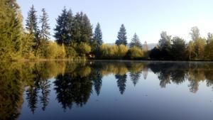 Paesaggio naturale nelle vicinanze dell'appartamento