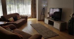 ein Wohnzimmer mit Sofa und Flachbildfernseher in der Unterkunft Casa Cris in Durau
