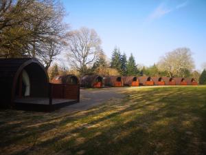 a group of tents in a park with a grass field at Missin' Link Glamping in West Hoathley