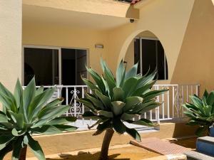 Balkón nebo terasa v ubytování Costa Adeje-2 bed.apartment with double terrace