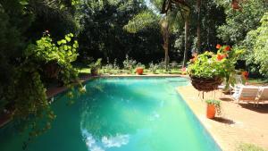 Bazén v ubytování Foxwood House Boutique Hotel nebo v jeho okolí