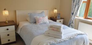 Gallery image of Knightsbrook Guesthouse in Trim