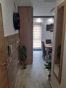Televiisor ja/või meelelahutuskeskus majutusasutuses Apartman Planinski san Divčibare