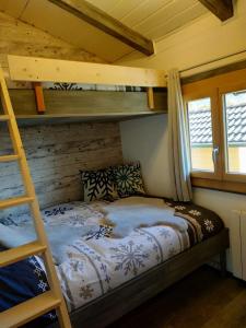 a bedroom with two bunk beds and a ladder at Chalet de charme entre Genève, Annecy et stations in Viuz-en-Sallaz