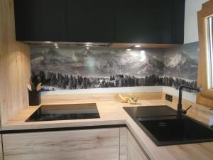 a kitchen with a mountain mural on the wall at Chalet de charme entre Genève, Annecy et stations in Viuz-en-Sallaz