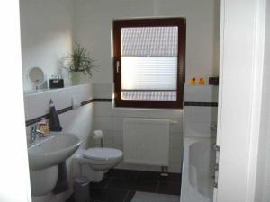 a bathroom with a sink and a toilet and a window at Ferienwohnung Hinz in Neu Lüdershagen