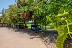 Zahrada ubytování Agriturismo LA FATA