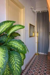 Fotografia z galérie ubytovania Lovely & Cozy Apartment with Magnificent Sea View, near the center v destinácii Agios Nikolaos