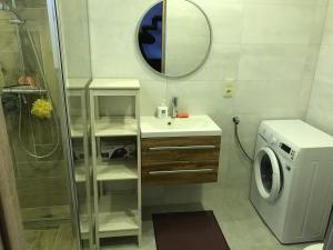 a bathroom with a washing machine and a sink at Miodunka1 in Dubicze Osoczne