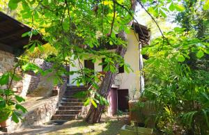 ein Haus mit Treppen und Bäumen davor in der Unterkunft TORRE GARDEN HOME - casa singola nella città di Bolzano con giardino privato in Bozen