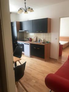 Kuchyň nebo kuchyňský kout v ubytování Apartmany Lend