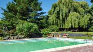 a swimming pool in a garden with a weeping tree at Mis Harand in Litteau