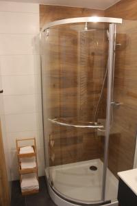 W łazience znajduje się prysznic ze szklanymi drzwiami. w obiekcie Apartamenty Przy Deptaku w Radomiu w Radomiu