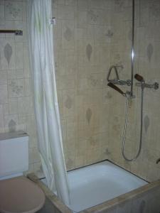 a bathroom with a shower and a toilet at Hotel Walida in Bönigen