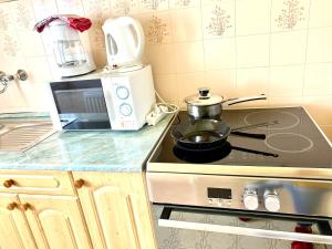 A kitchen or kitchenette at Home Sweet Apartment XL