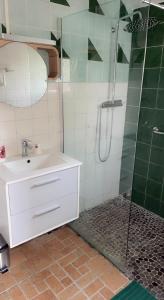 アルルにあるAppartement avec une chambreのバスルーム(洗面台、ガラス張りのシャワー付)
