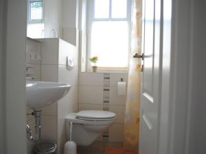 a bathroom with a toilet and a sink and a window at Ferienhaus Rathje an der Schlei in Fahrdorf in Fahrdorf