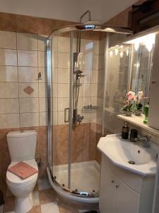 a bathroom with a shower and a toilet and a sink at In The Castle II- House in Ioannina +17 photos