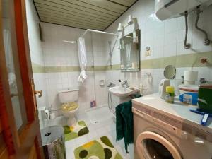 bagno con lavandino e servizi igienici e lavatrice. di Duplex House on the Castle Road with a Seaview a Alanya
