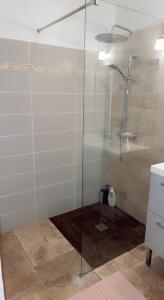 una doccia con porta in vetro in bagno di Chambre cosy a Arles