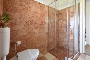 łazienka z przeszklonym prysznicem i toaletą w obiekcie Calaone Wondeful Duplex Apartment con parcheggio x4 w mieście Baone
