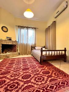 1 dormitorio con cama, chimenea y alfombra en Village Apartment en Marathiás