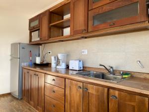 Dapur atau dapur kecil di Patagonia Austral Suites