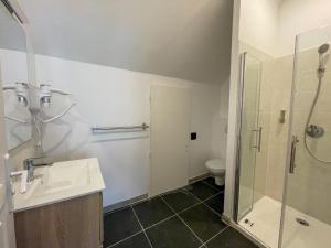 a bathroom with a sink and a shower and a toilet at Maison des fleurs in Saint-Aignan