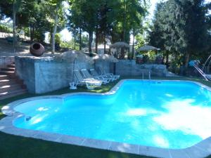 a swimming pool with blue water in a yard at Quinta da Cartida in Santa Marinha do Zêzere