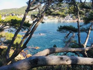 Príroda v okolí apartmánu