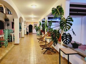 um corredor com cadeiras e vasos de plantas num restaurante em Jardines de Luz em San Cristóbal de Las Casas