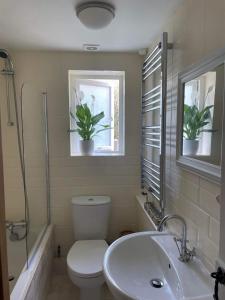 a bathroom with a toilet and a sink and two windows at Lotte’s Cottage in Bideford